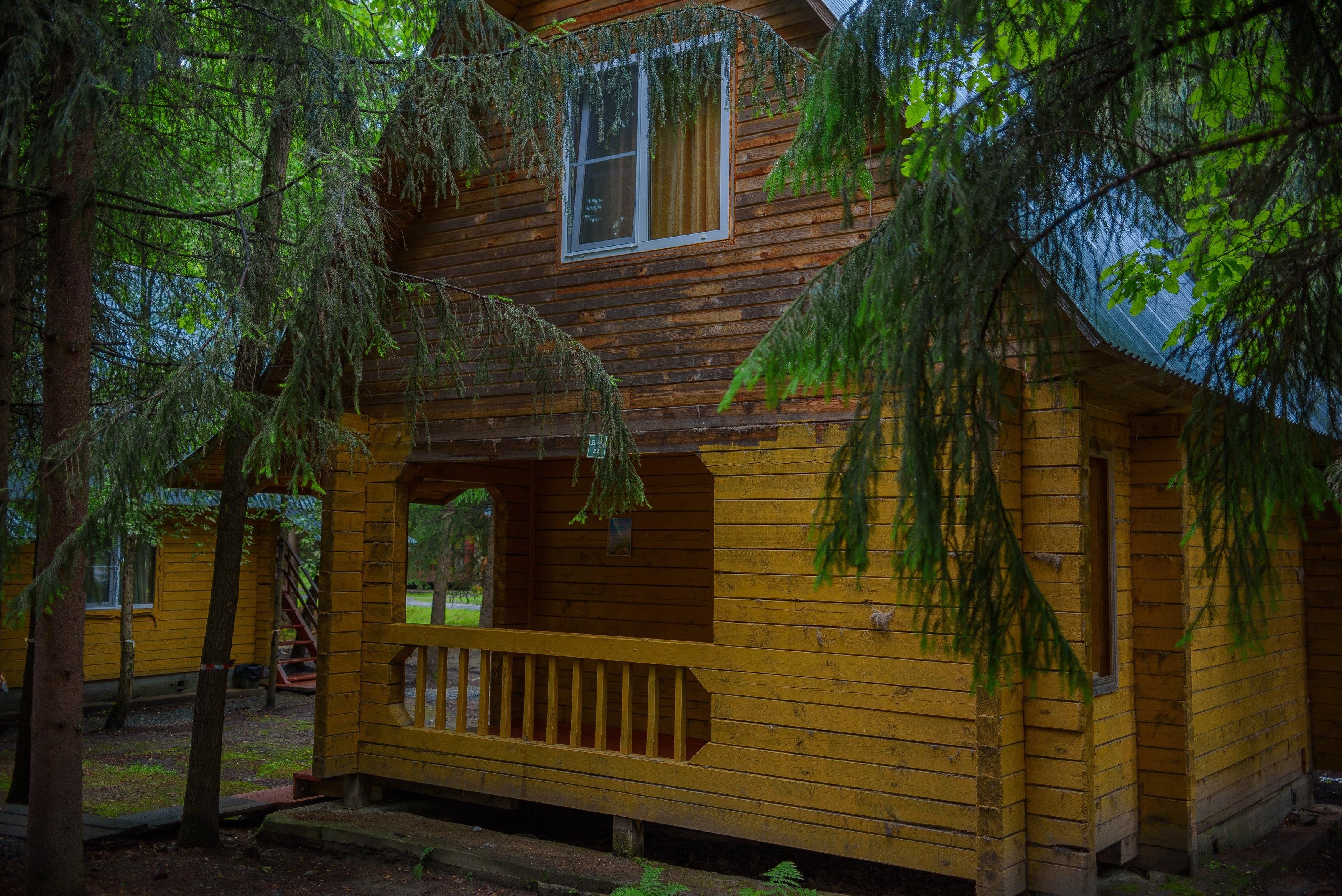 Лесовичок - фото 16