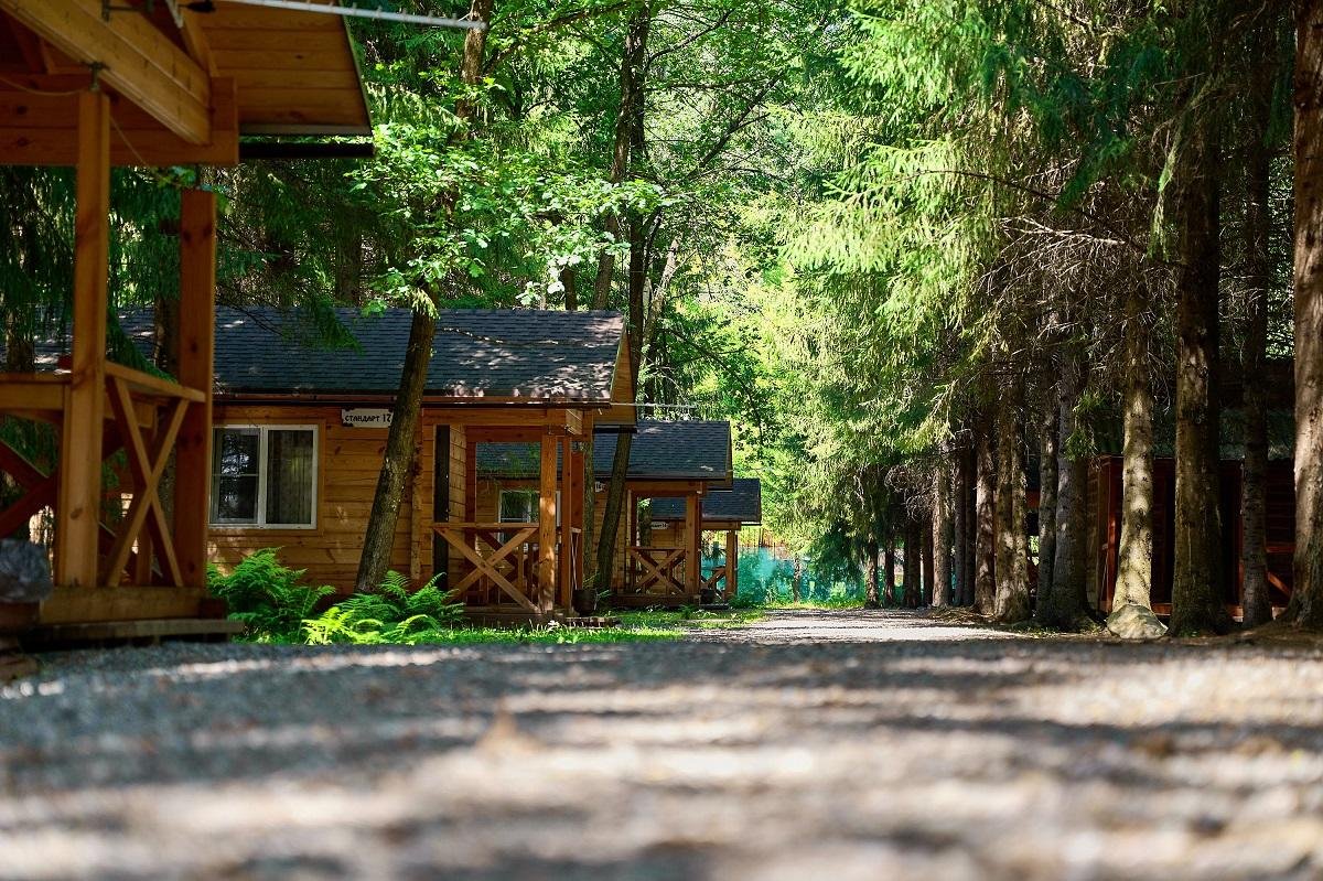 Лесовичок - фото 17