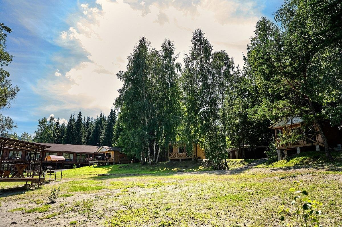 Лесовичок - фото 21