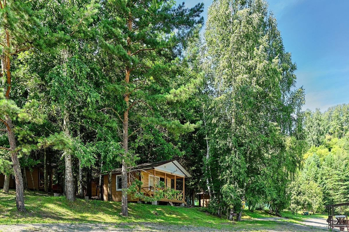 Лесовичок - фото 23