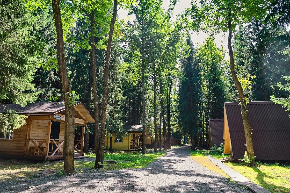 Лесовичок - фото 24