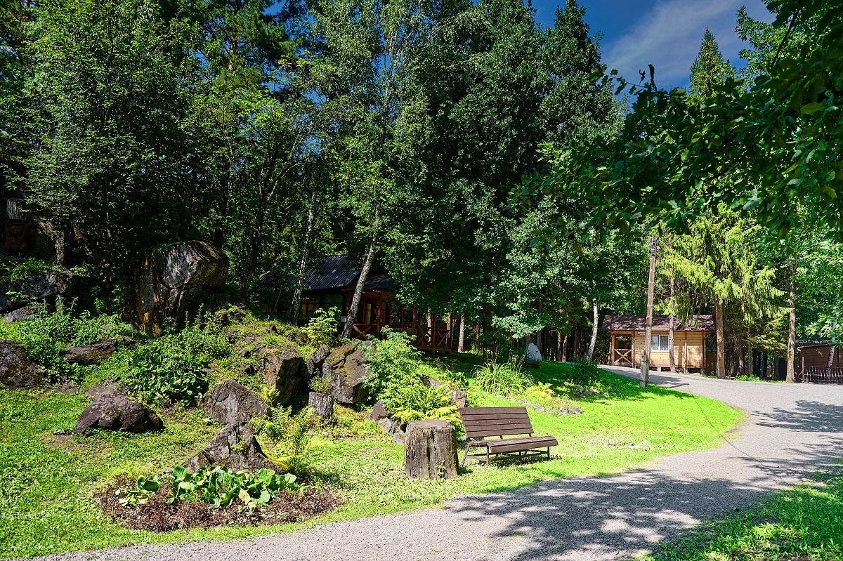 Лесовичок - фото 26