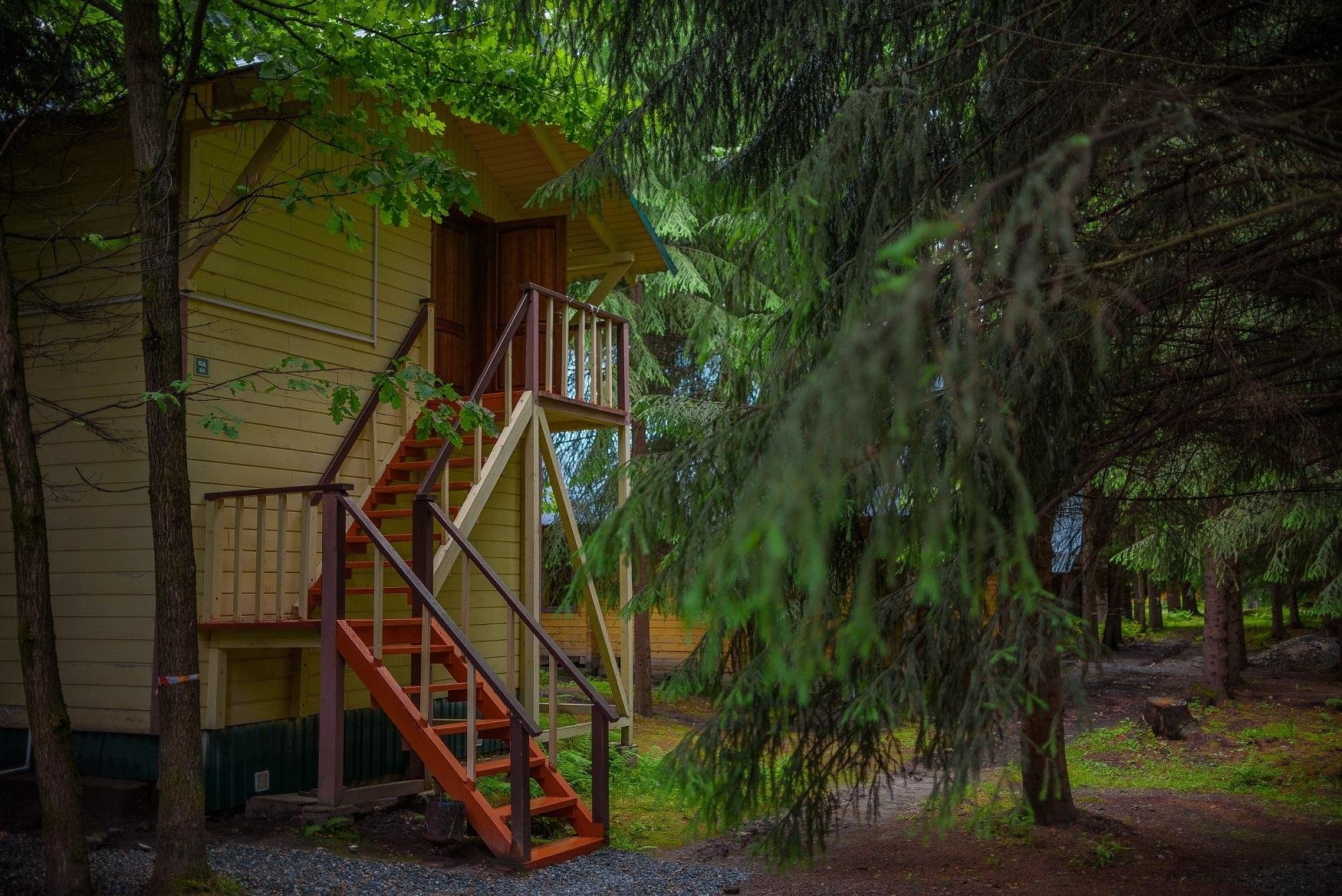 Лесовичок - фото 27