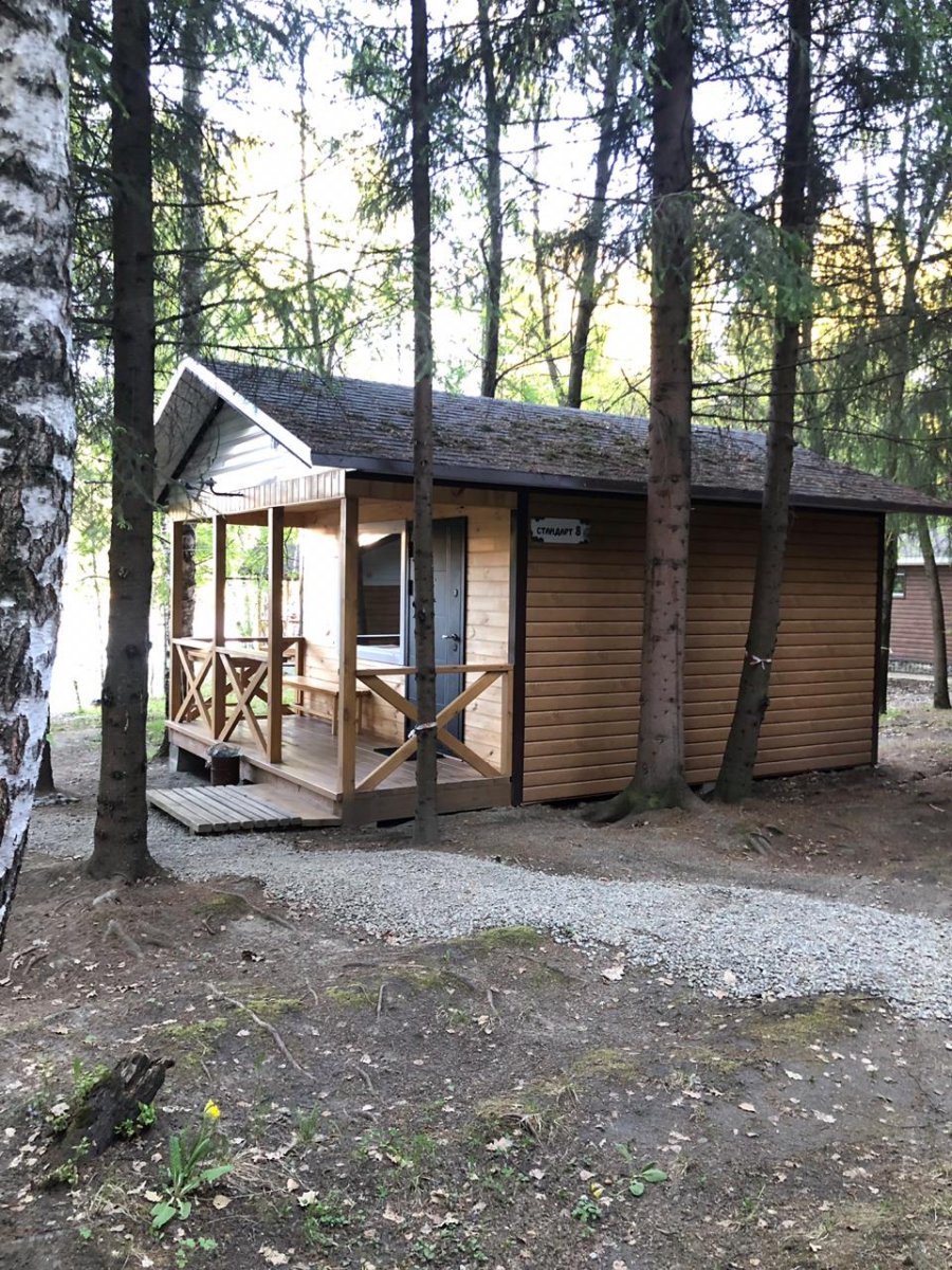 Лесовичок - фото 41