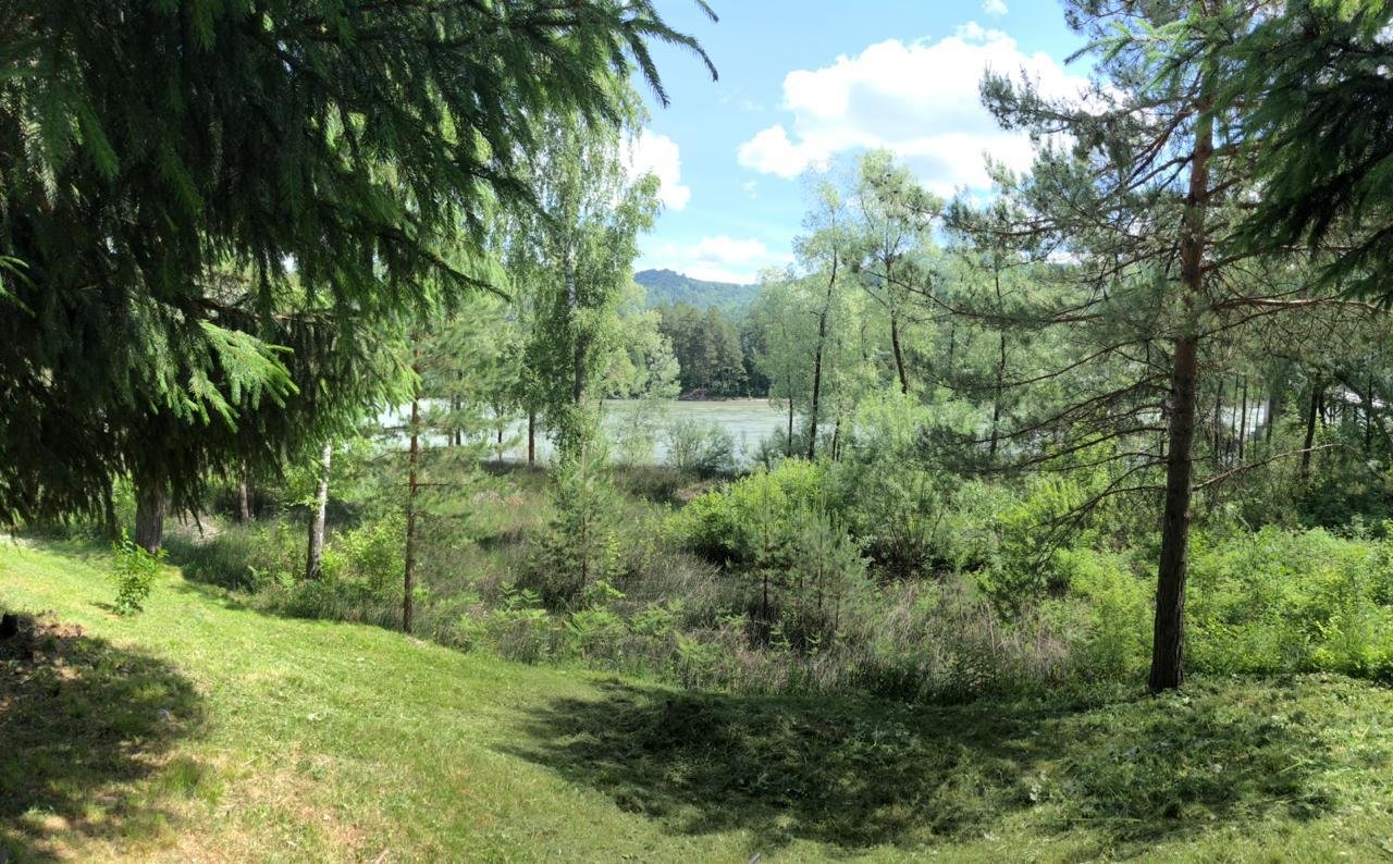 Лесовичок - фото 42