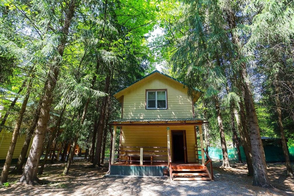 Лесовичок - фото 46