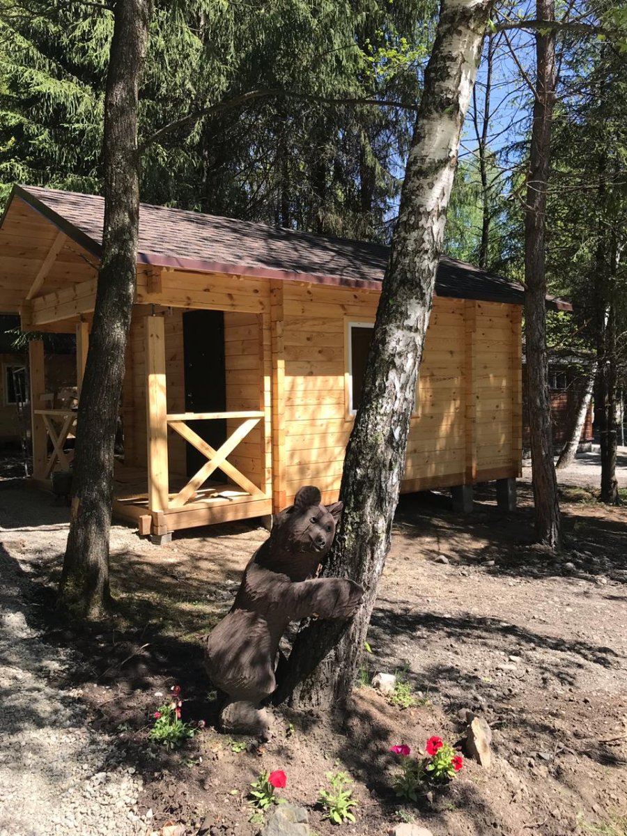 Лесовичок - фото 56