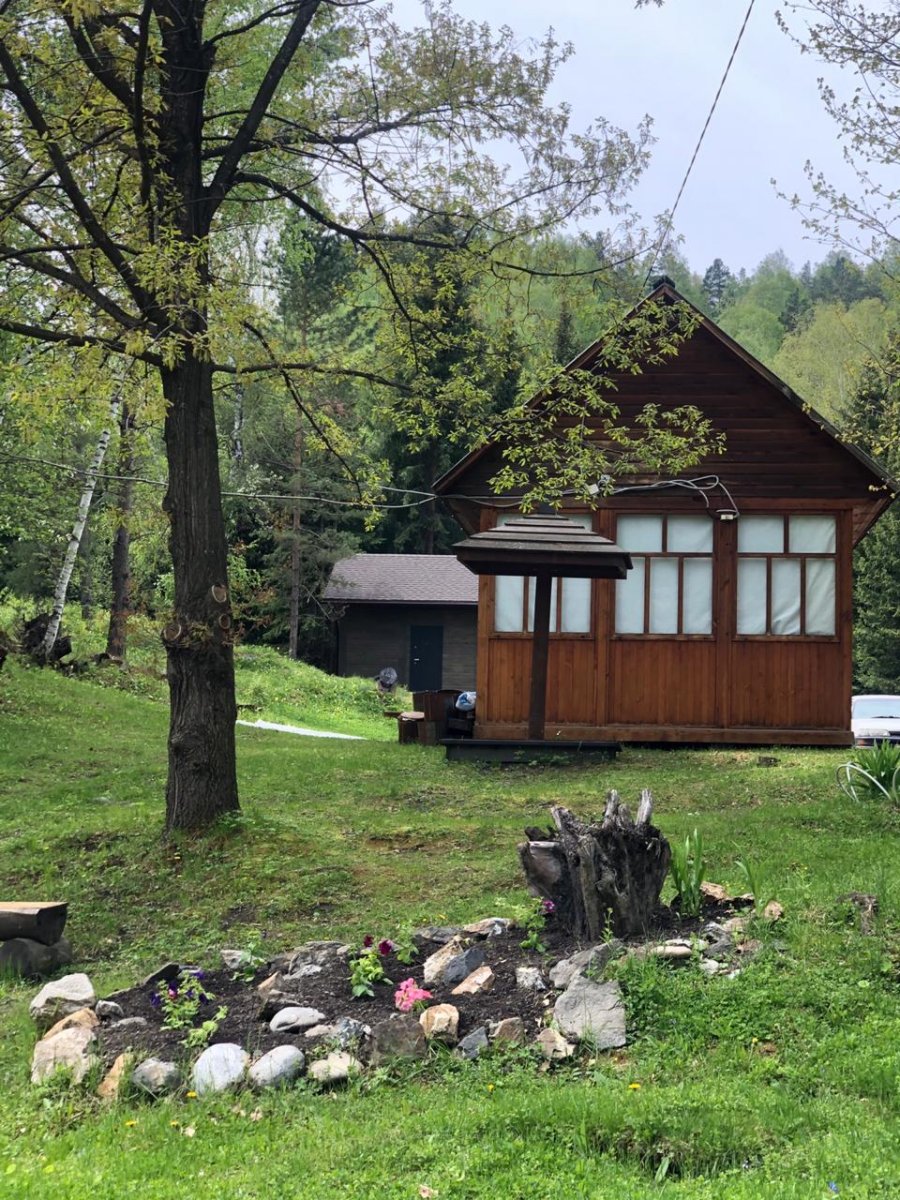 Лесовичок - фото 66