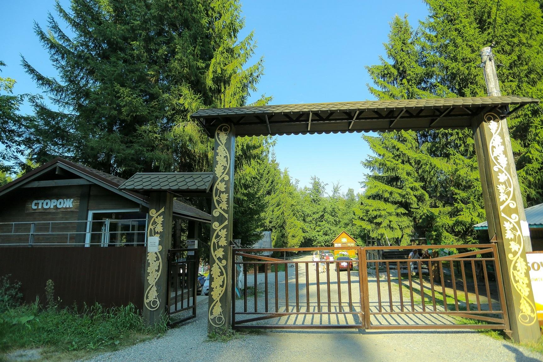 Лесовичок - фото 85