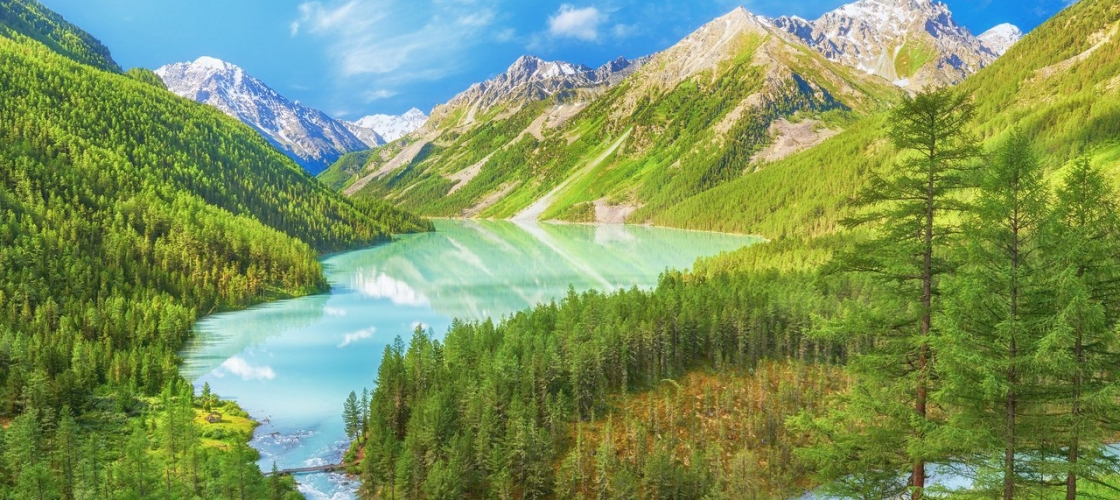 Катунский заповедник - фото 2