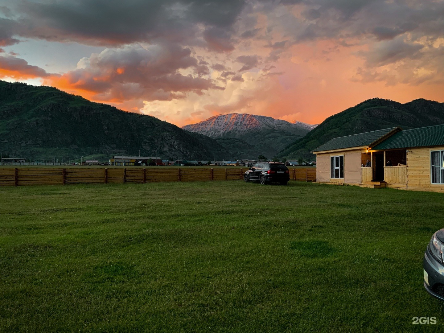 Зеленый мох - фото 3