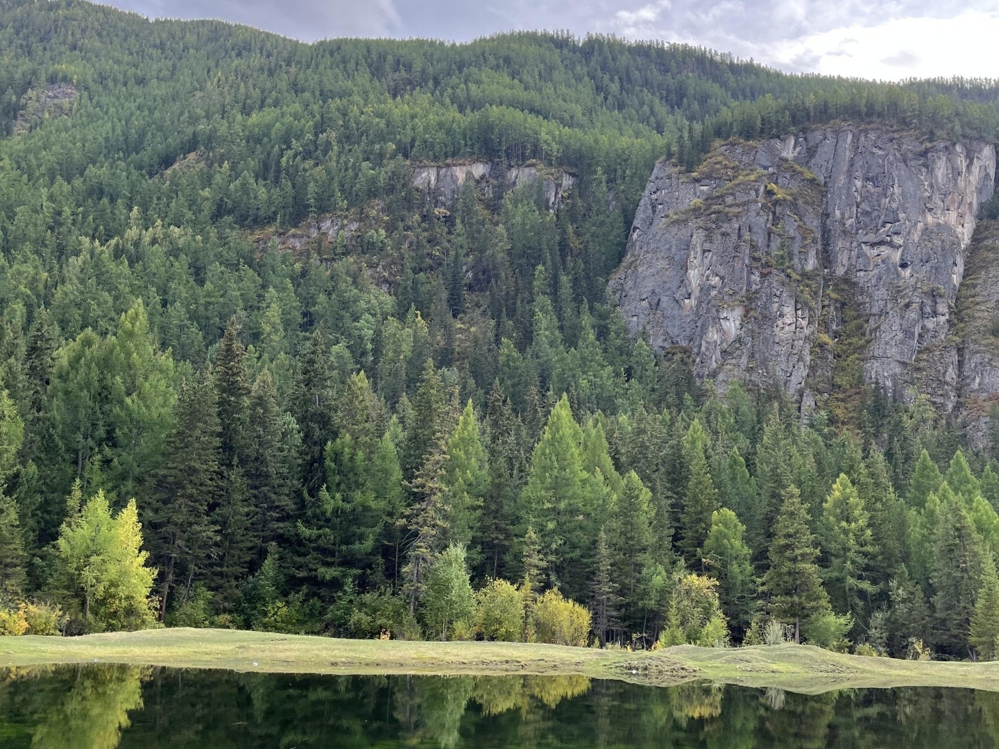 Зеленый мох - фото 4