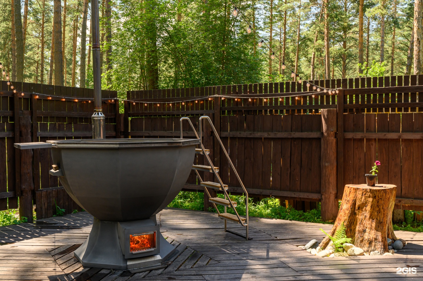 Таежный угол - фото 5