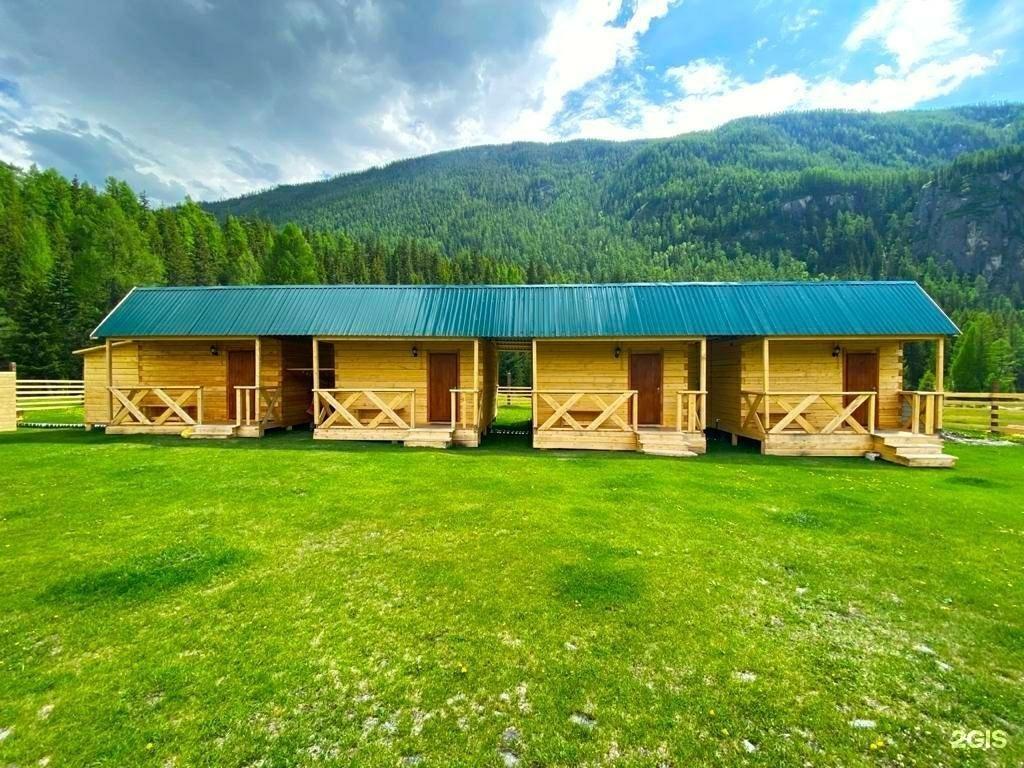 Зеленый мох - фото 5