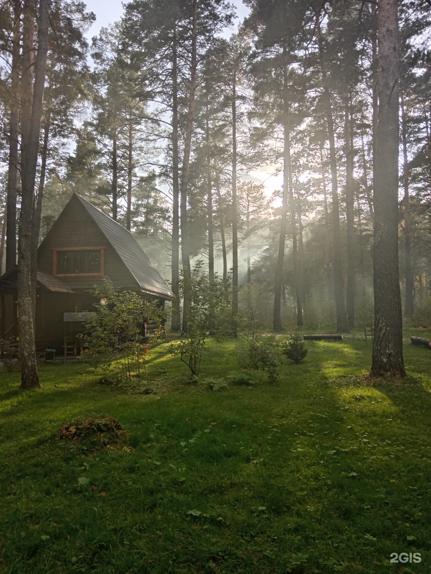 Таежный угол - фото 18