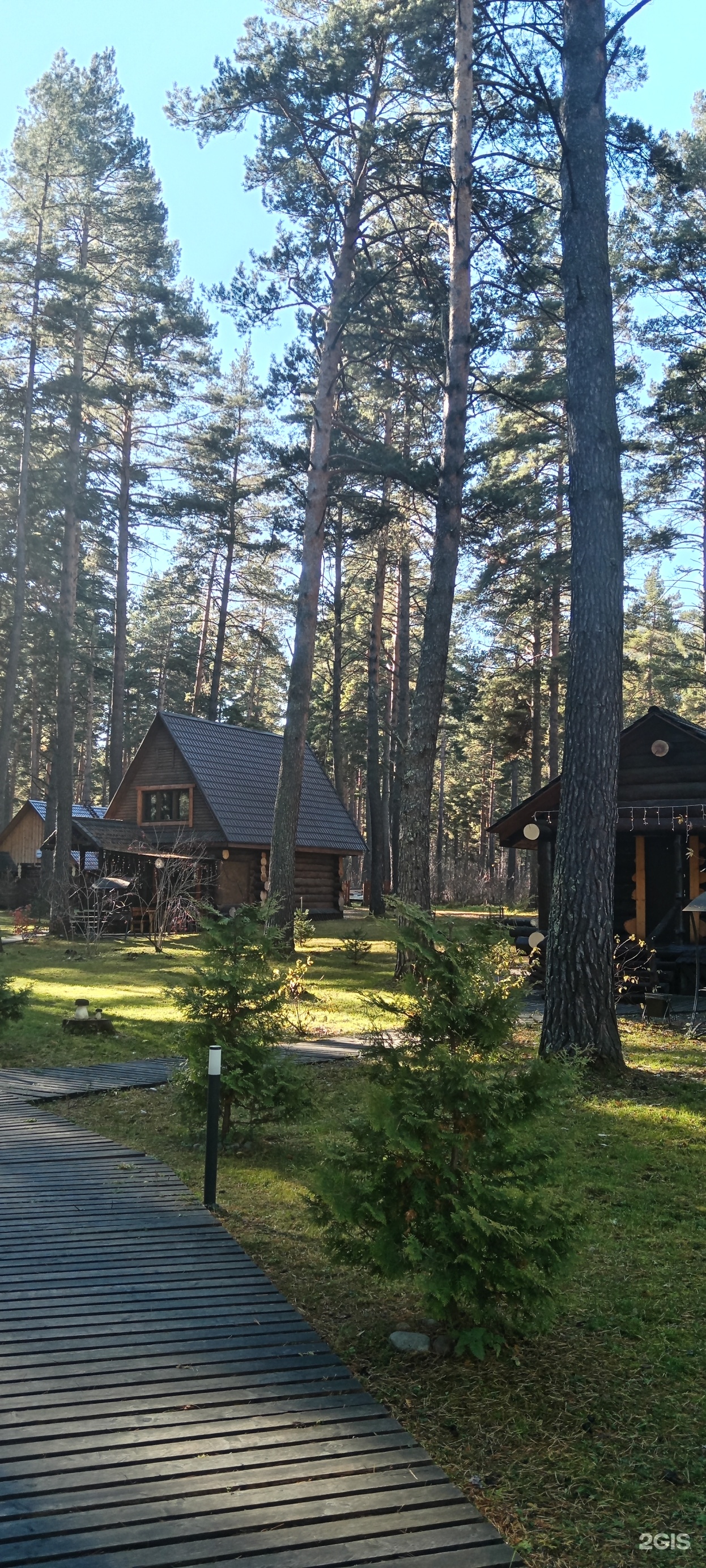 Таежный угол - фото 28