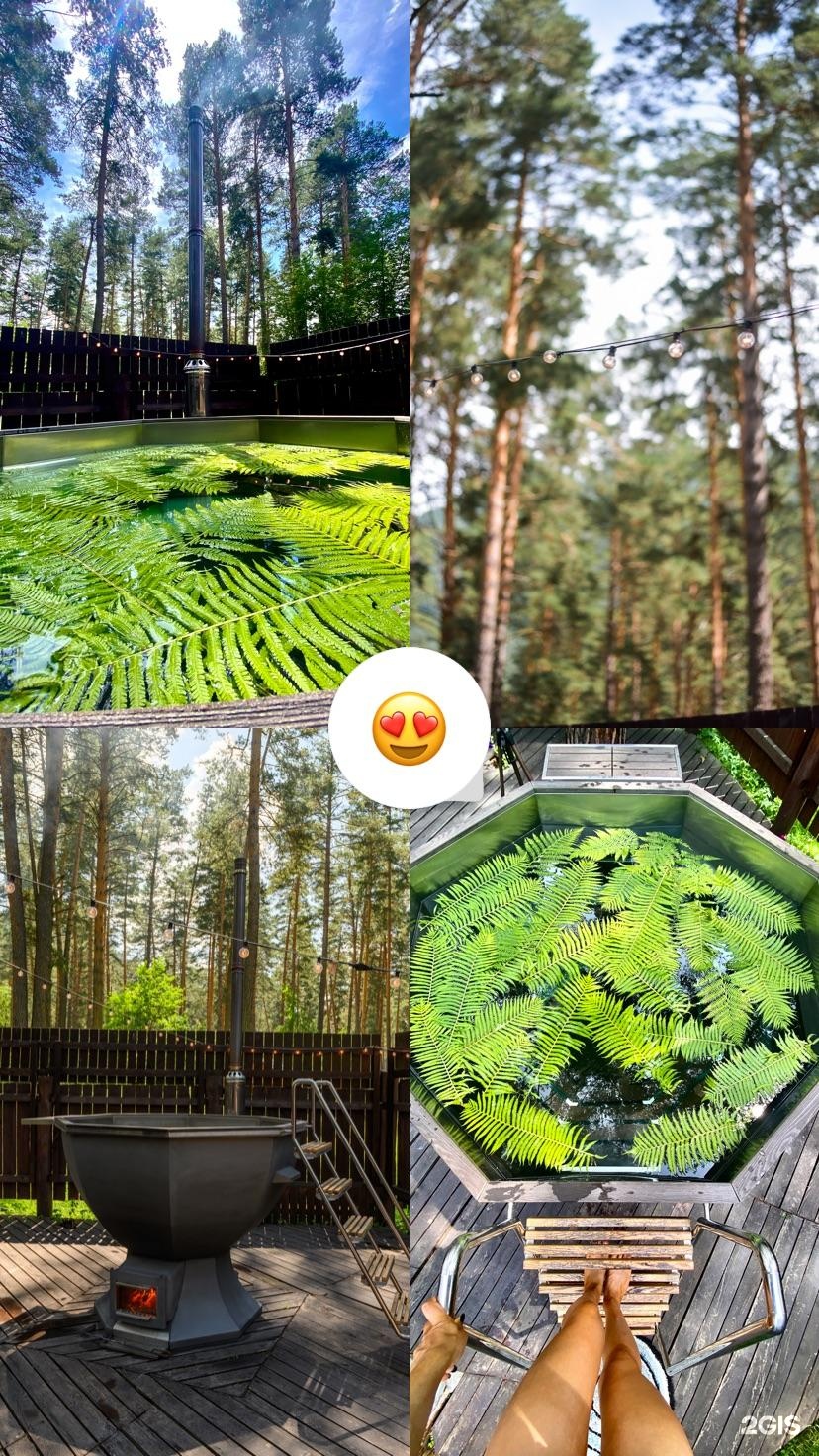 Таежный угол - фото 33