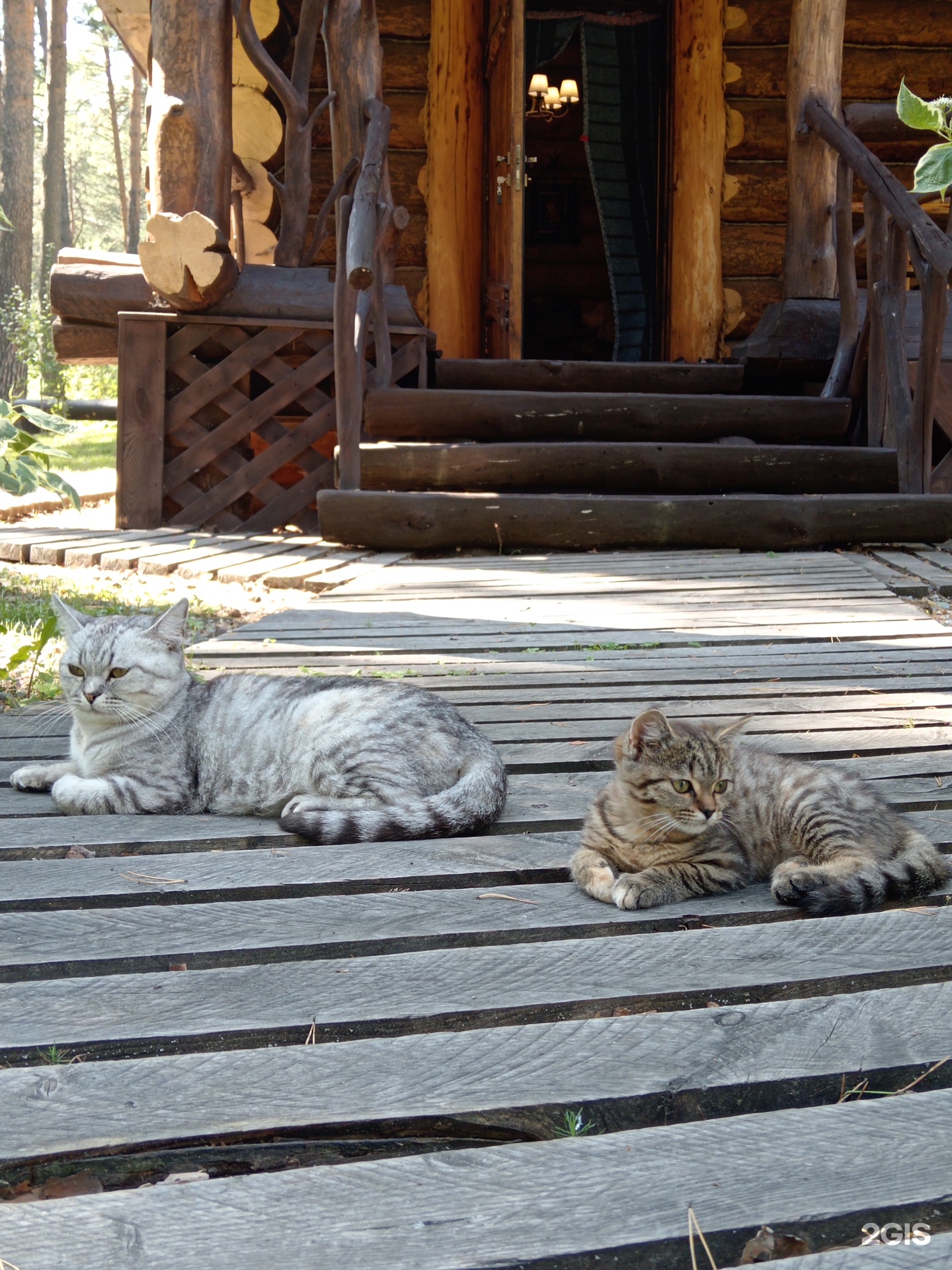 Таежный угол - фото 36