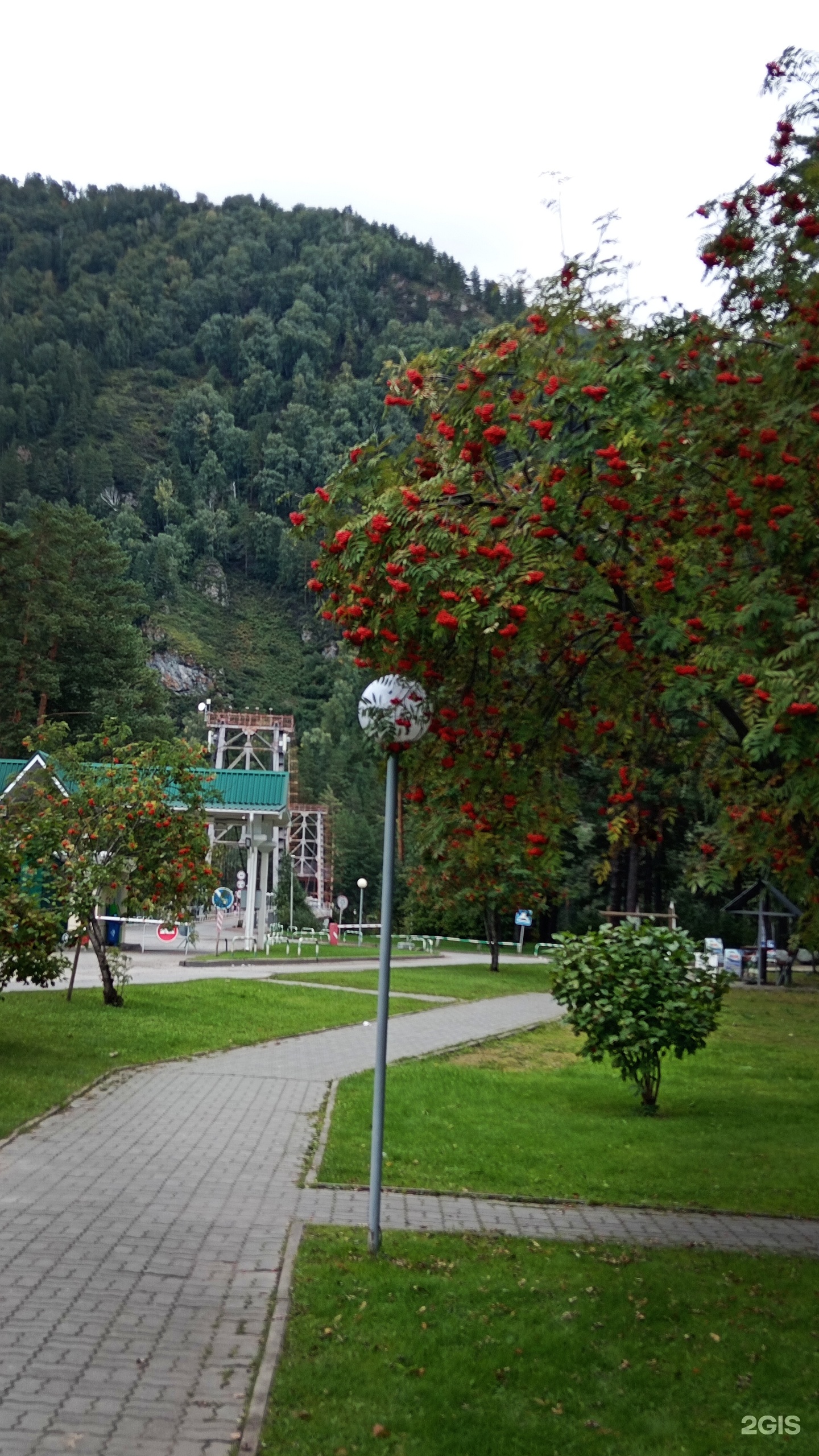 Таежный угол - фото 37