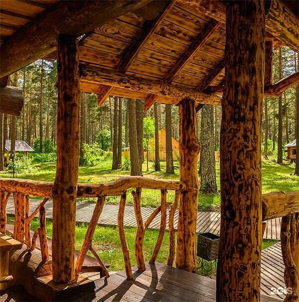 Таежный угол - фото 46