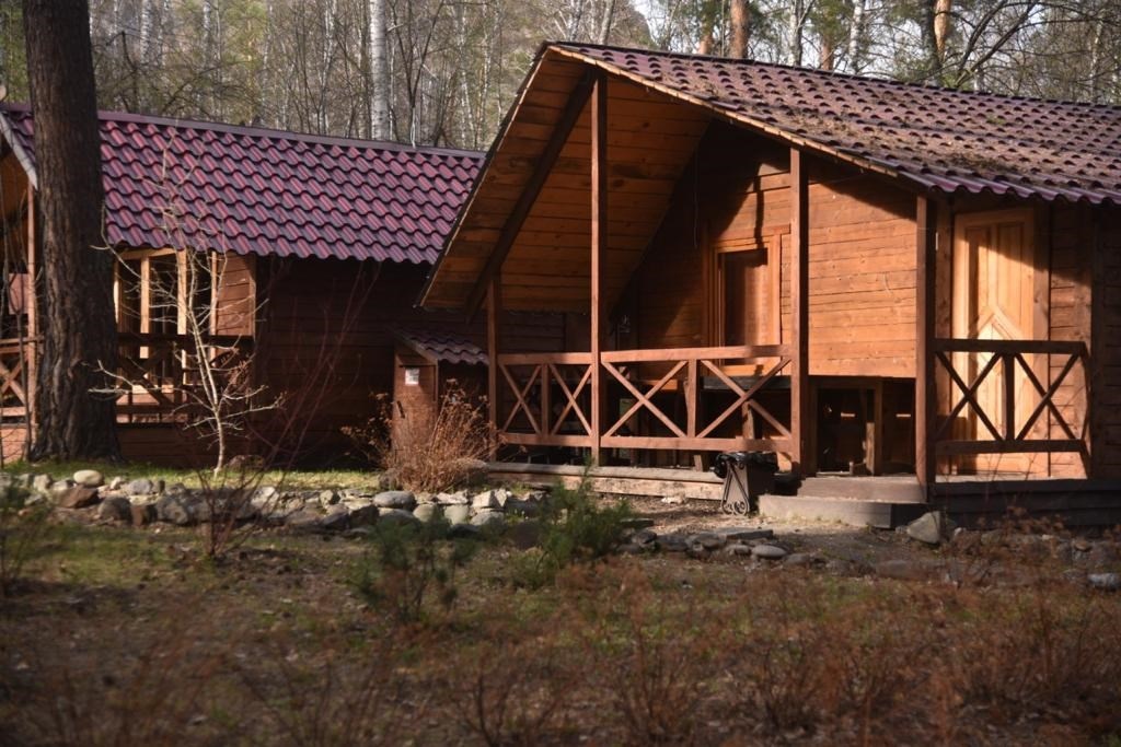 Панорама Лес - фото 3