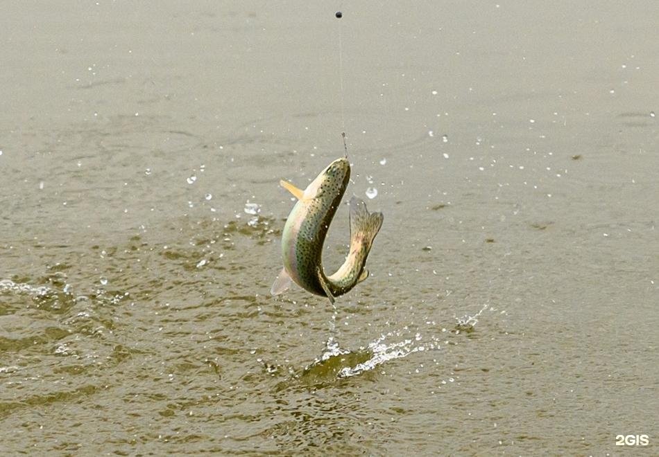 Таежный угол - фото 58