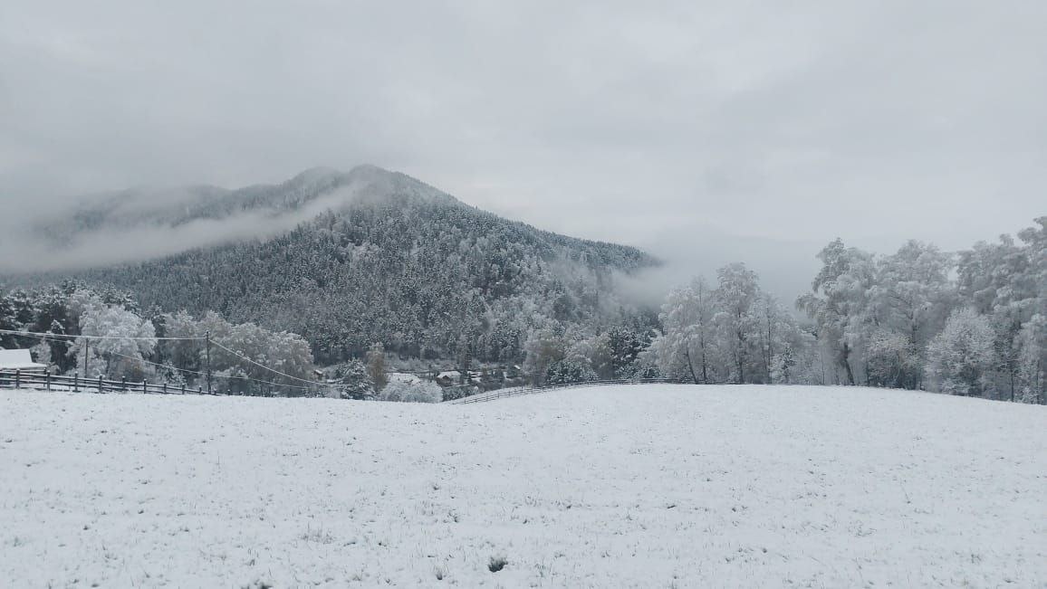 Камлак Village - фото 15