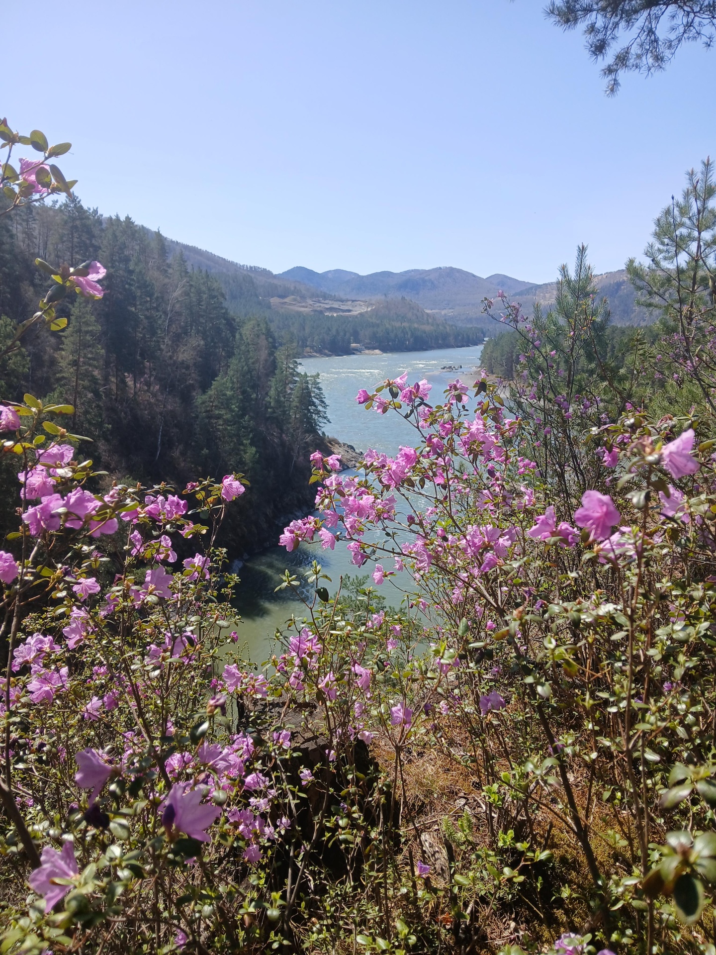 Горная Гавань - фото 19