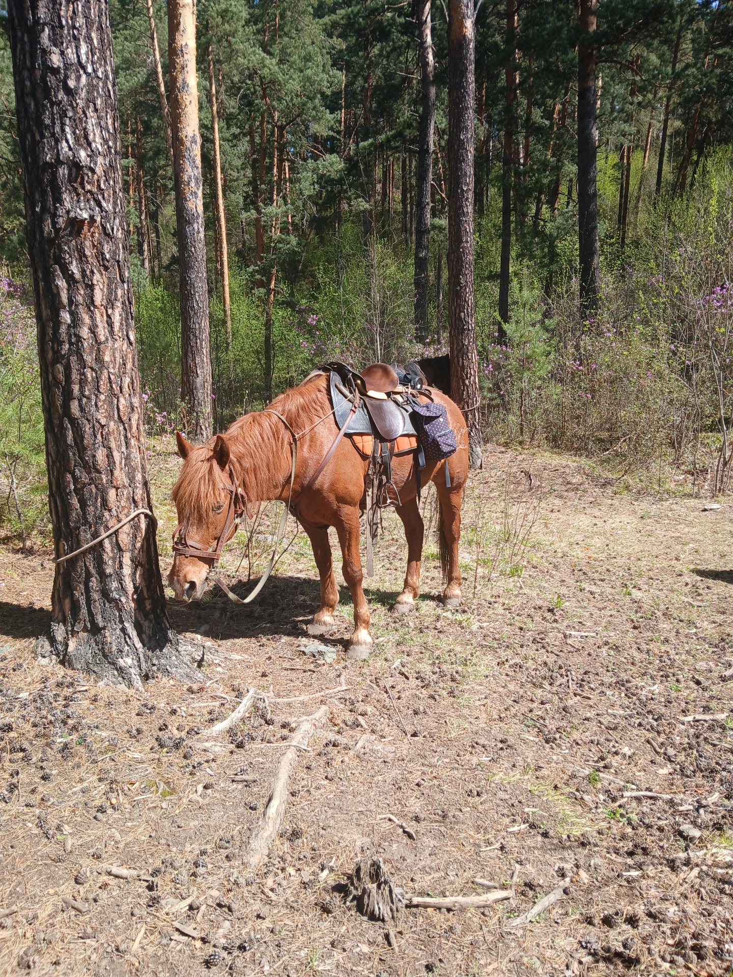 Горная Гавань - фото 48