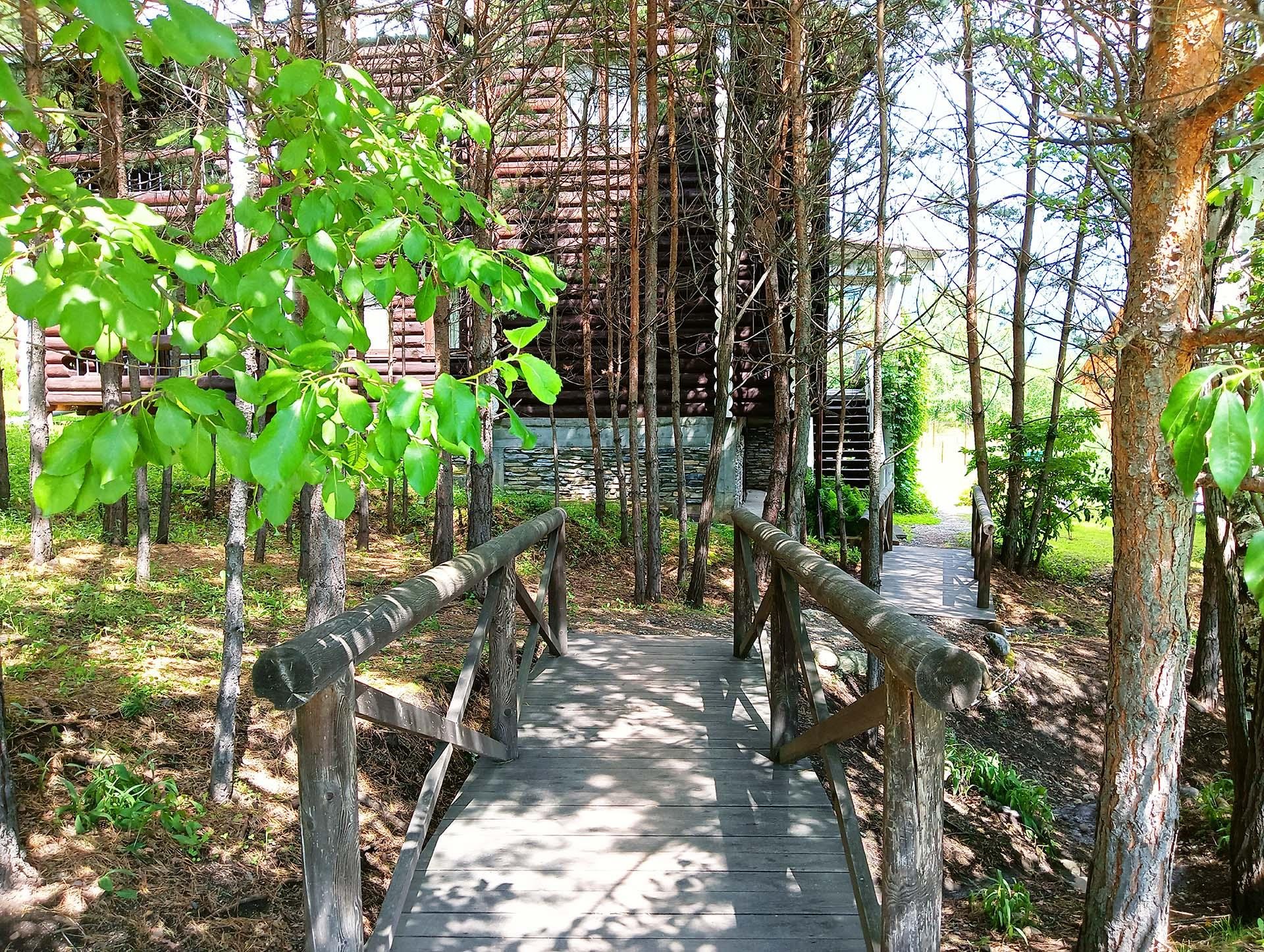 Заря - фото 11