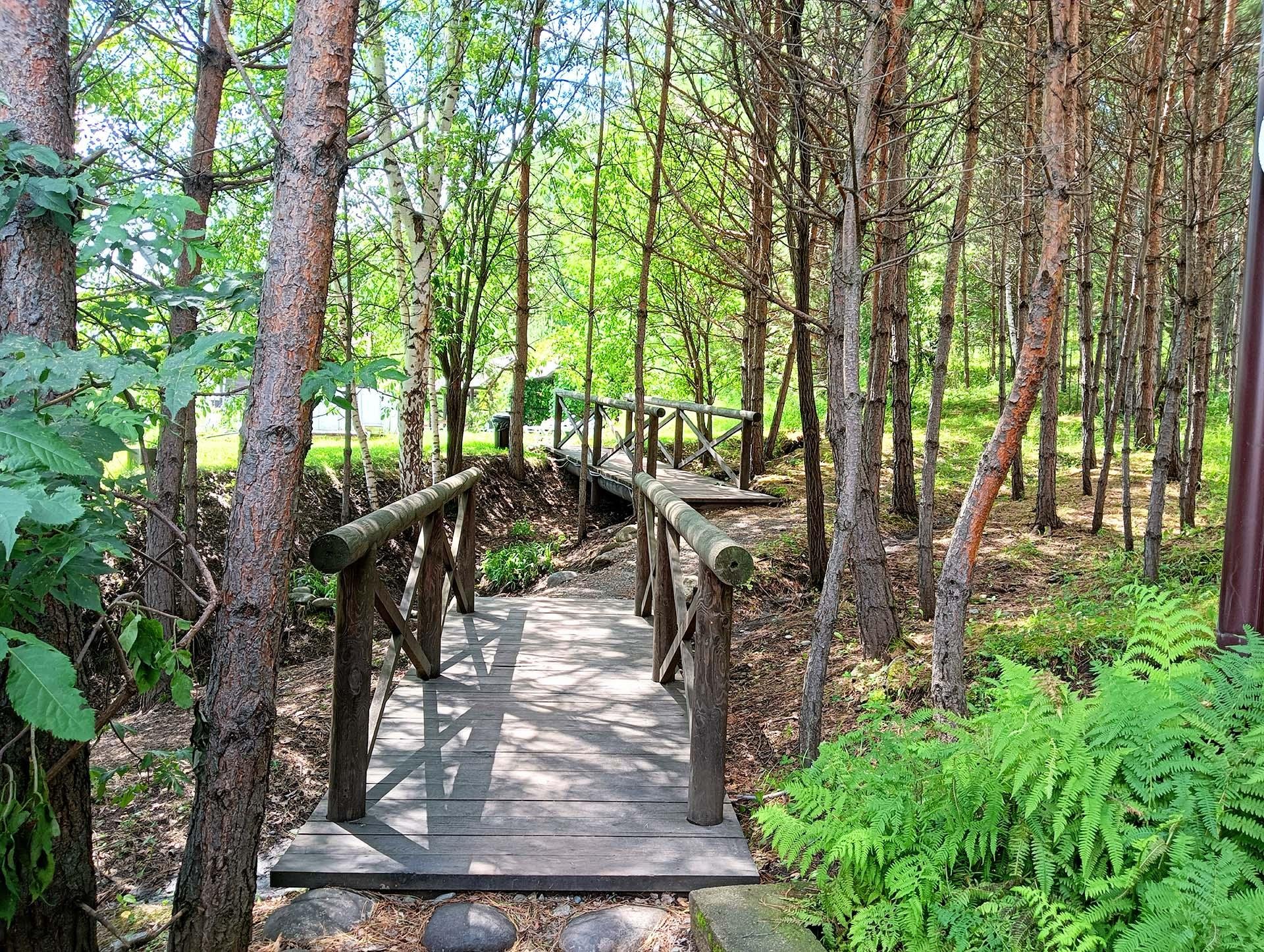 Заря - фото 12