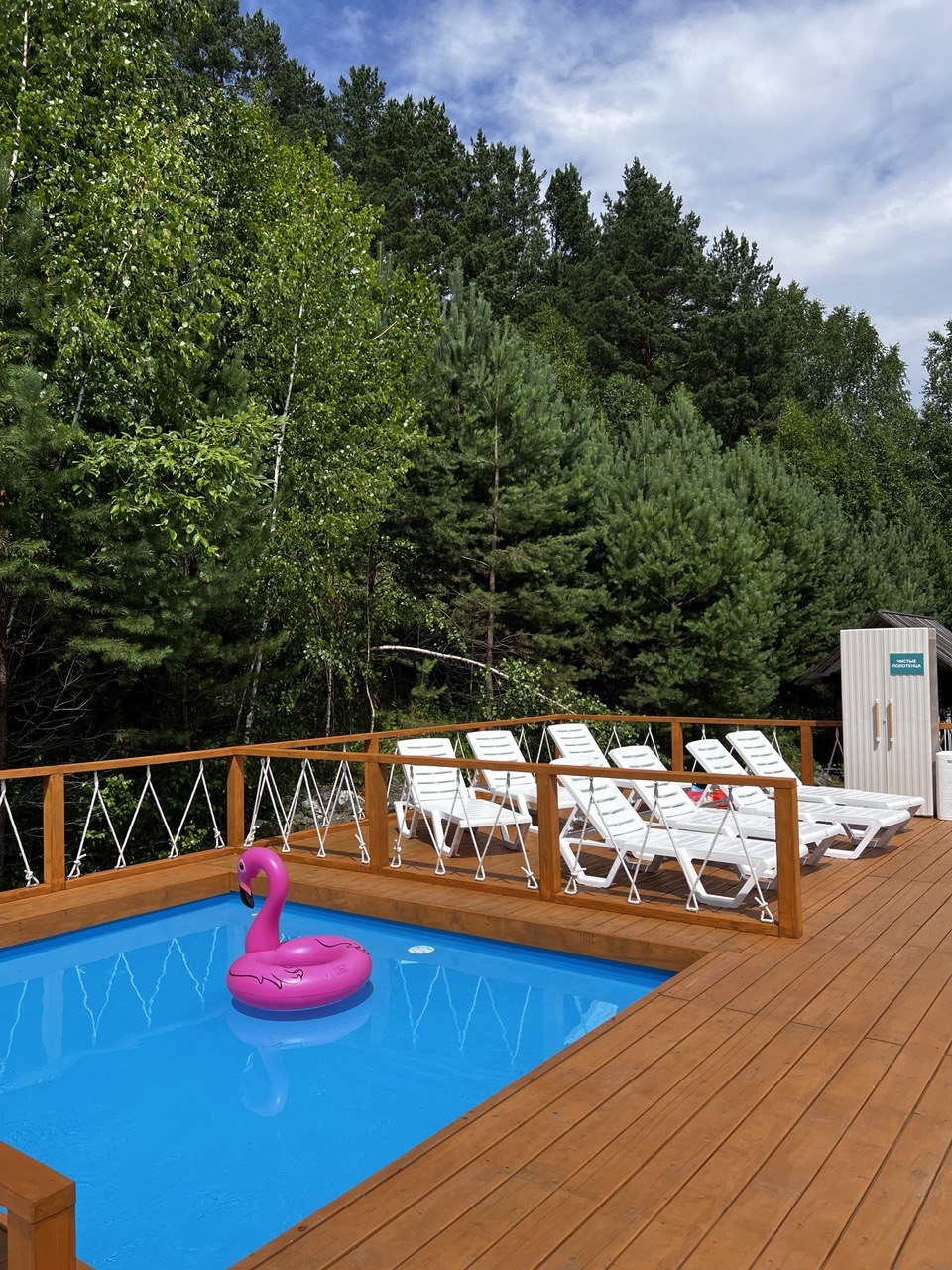 Заря - фото 13