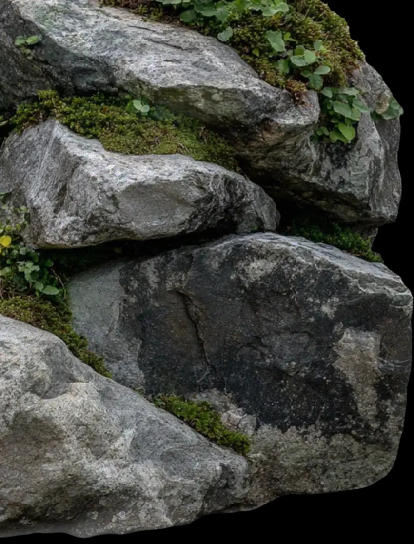 Заря - фото 30