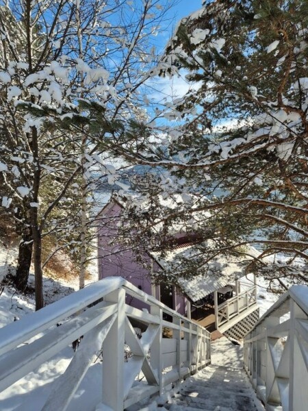 Дом Прованс - фото 11