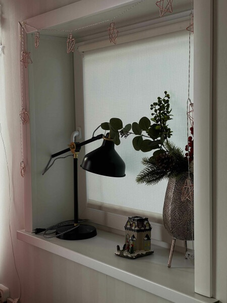 Дом Америка - фото 11