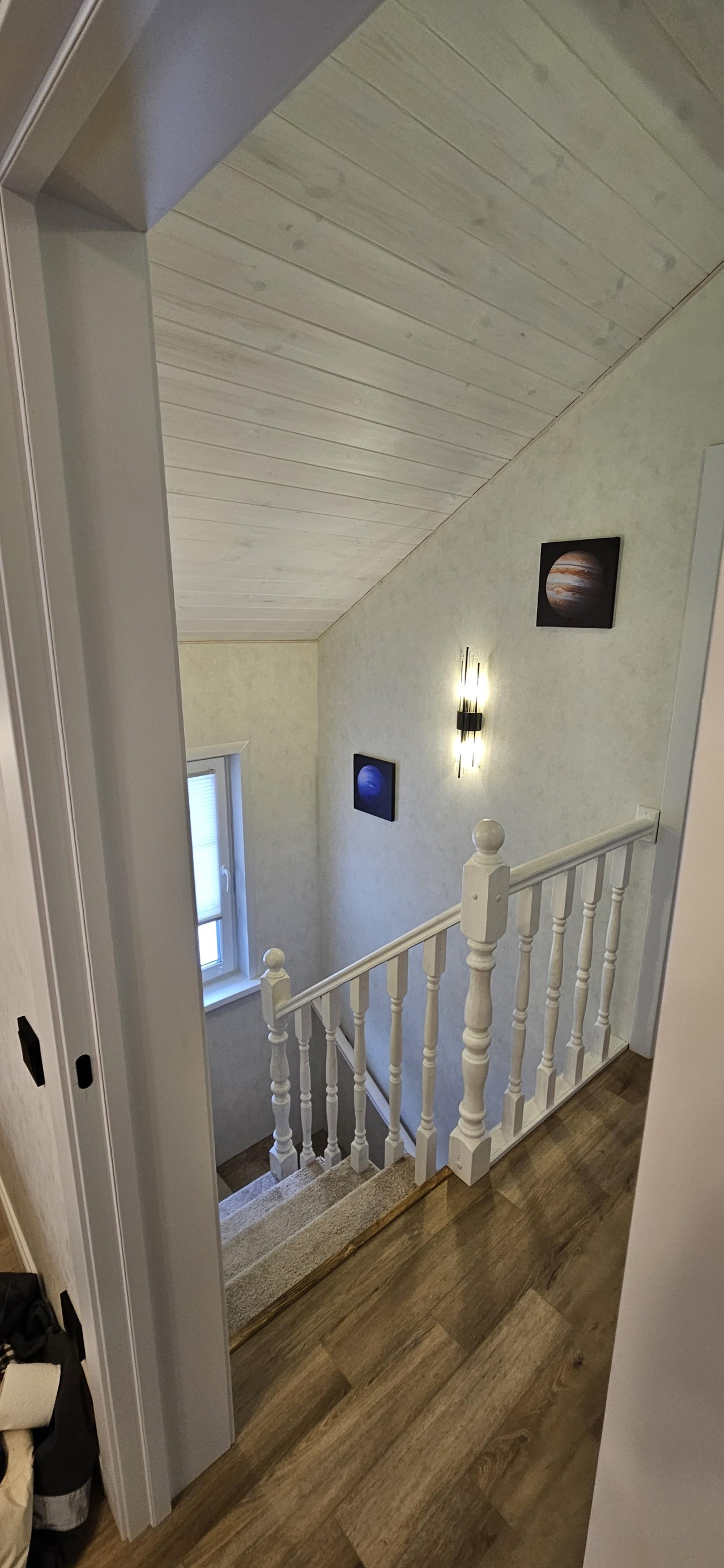 Филин - фото 35