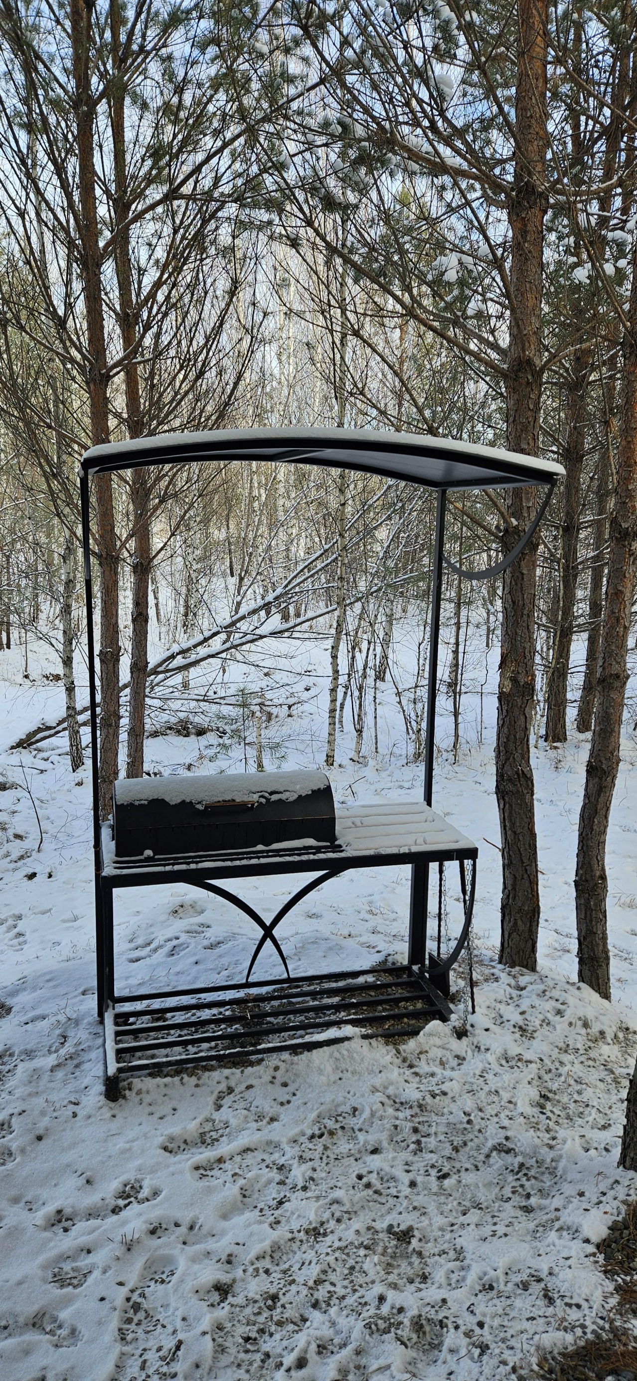 Филин - фото 39