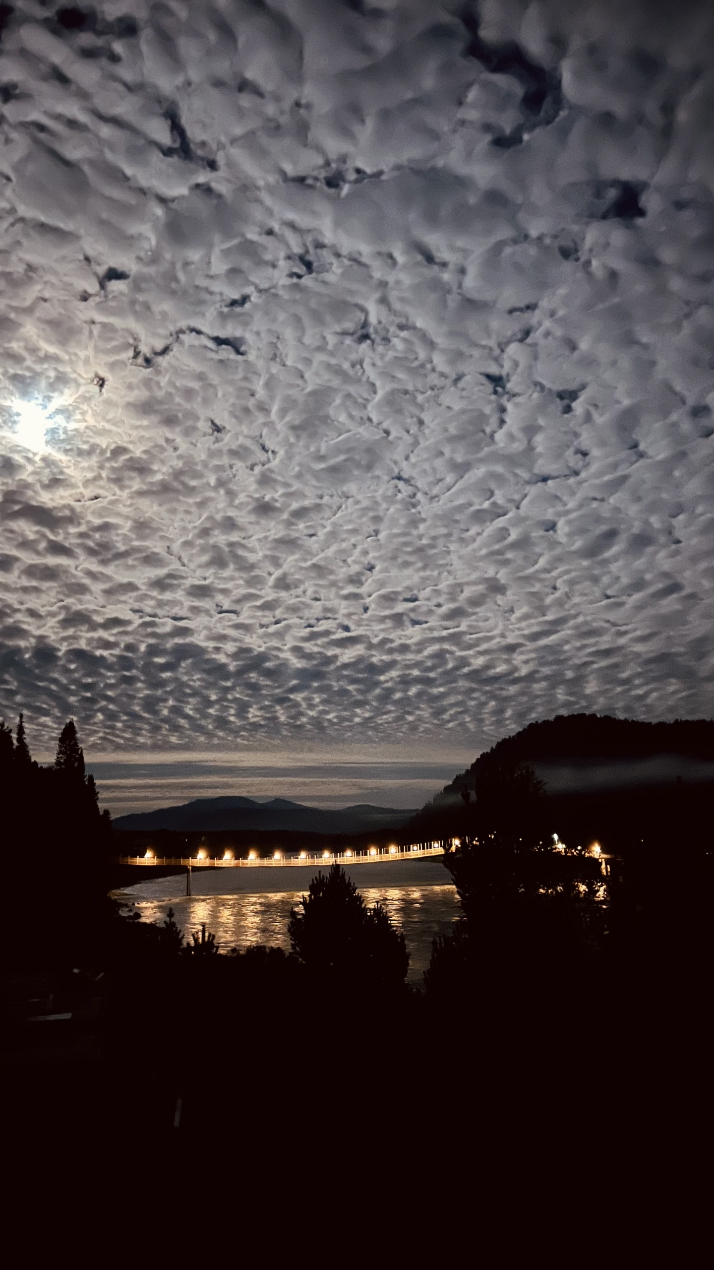 У Беспаловых - фото 5