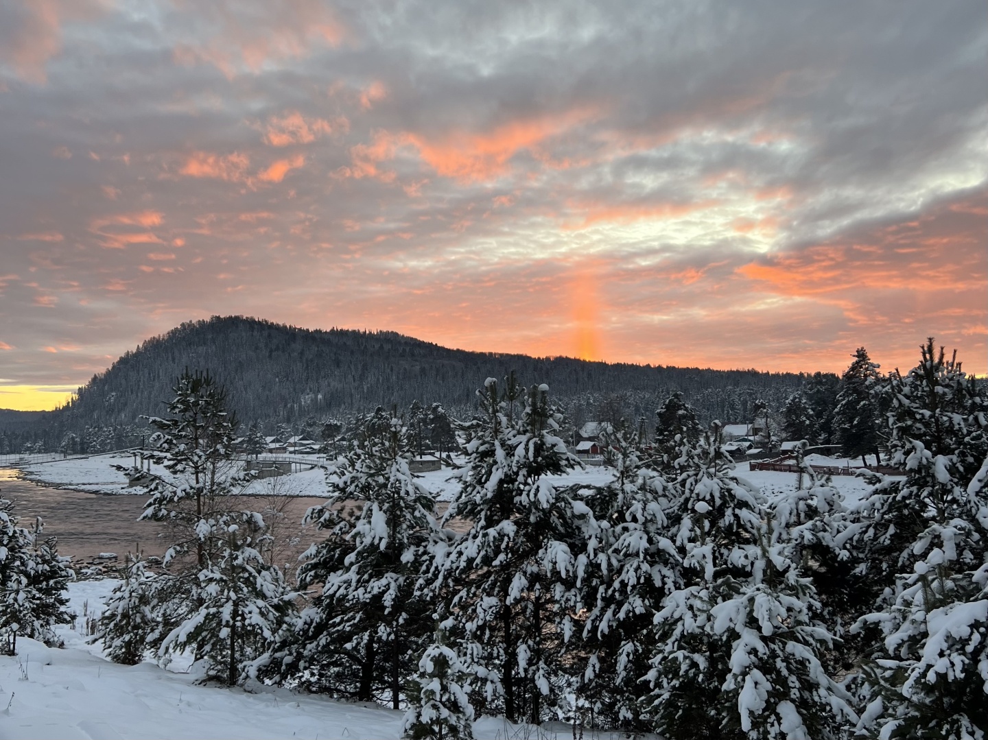 У Беспаловых - фото 7
