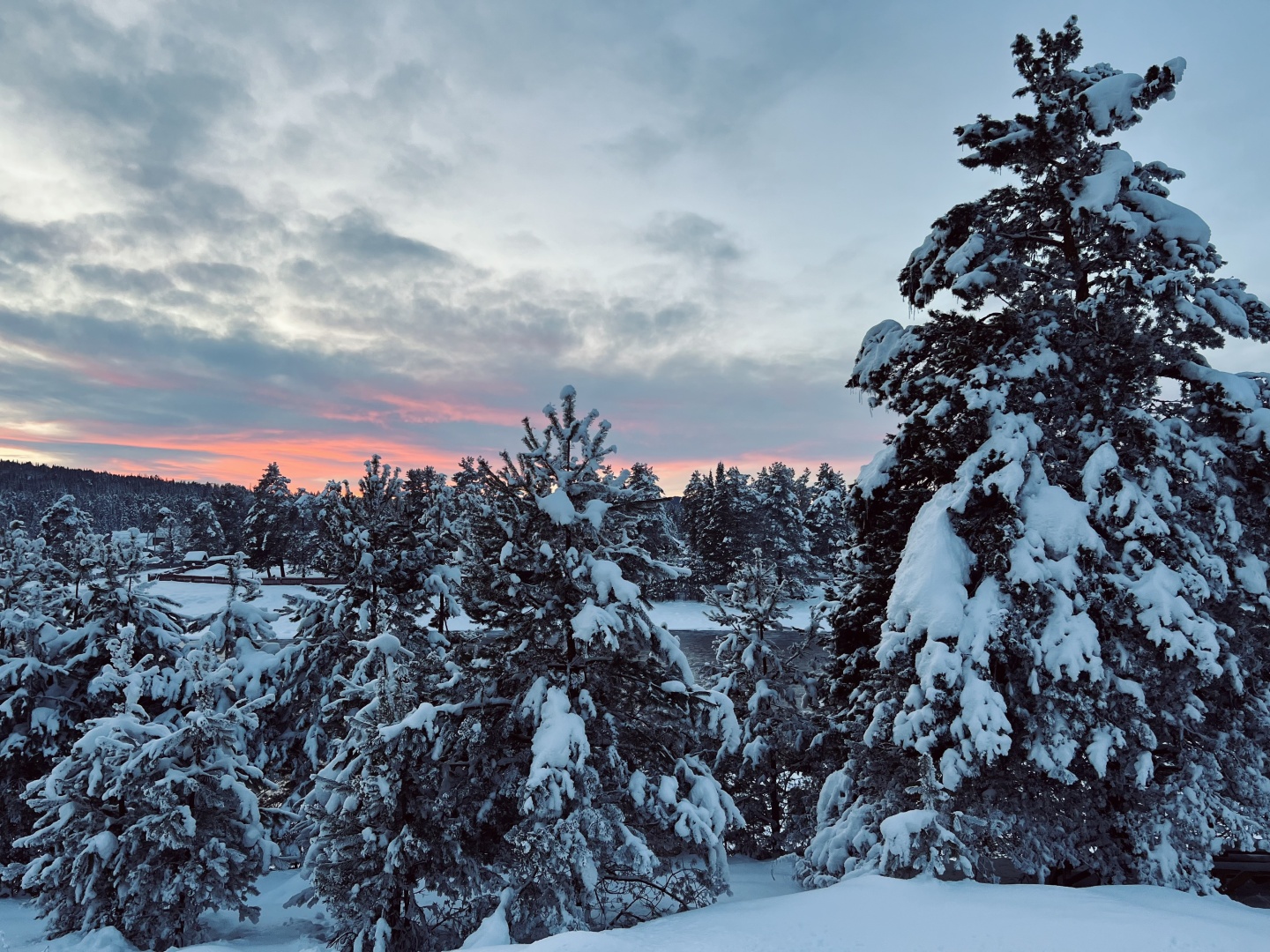 У Беспаловых - фото 13