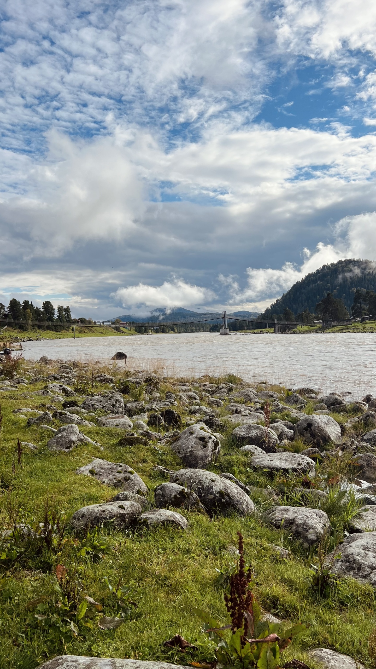 У Беспаловых - фото 19