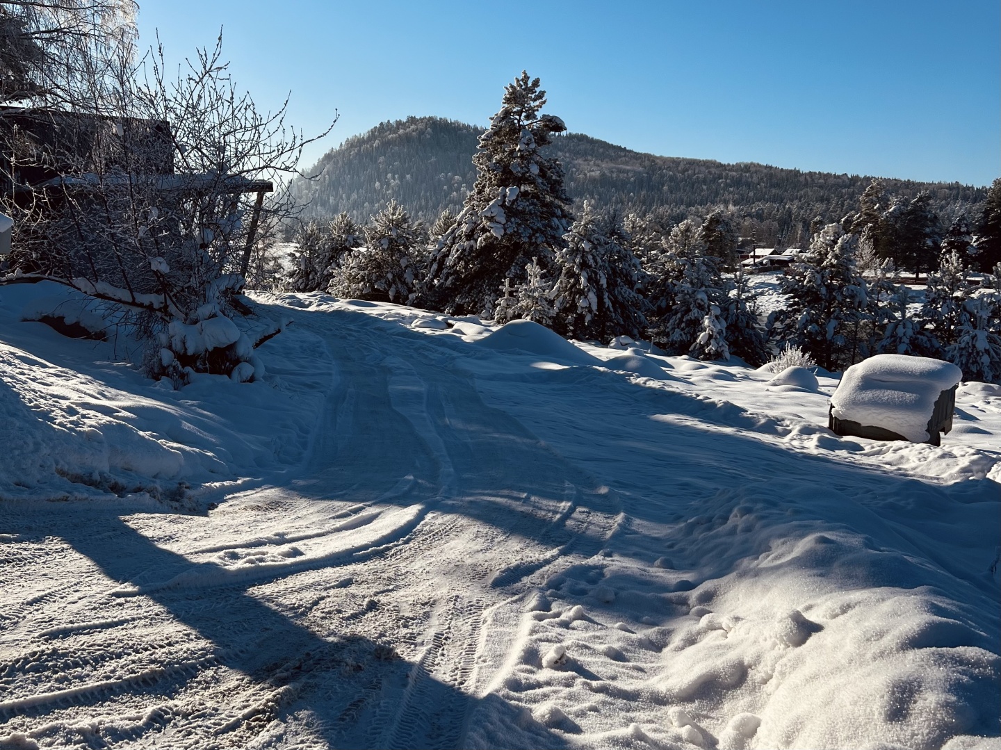 У Беспаловых - фото 35