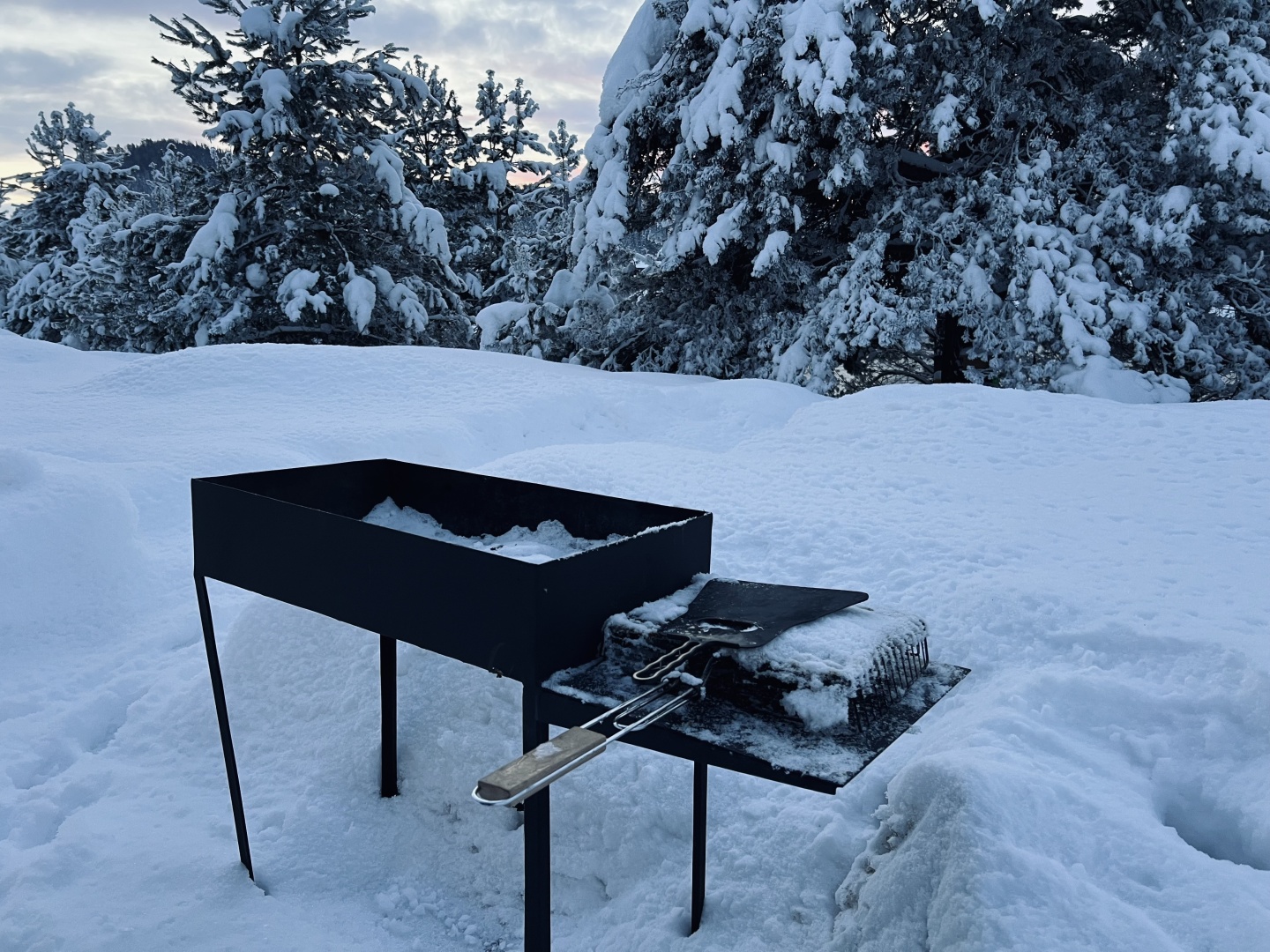 У Беспаловых - фото 56