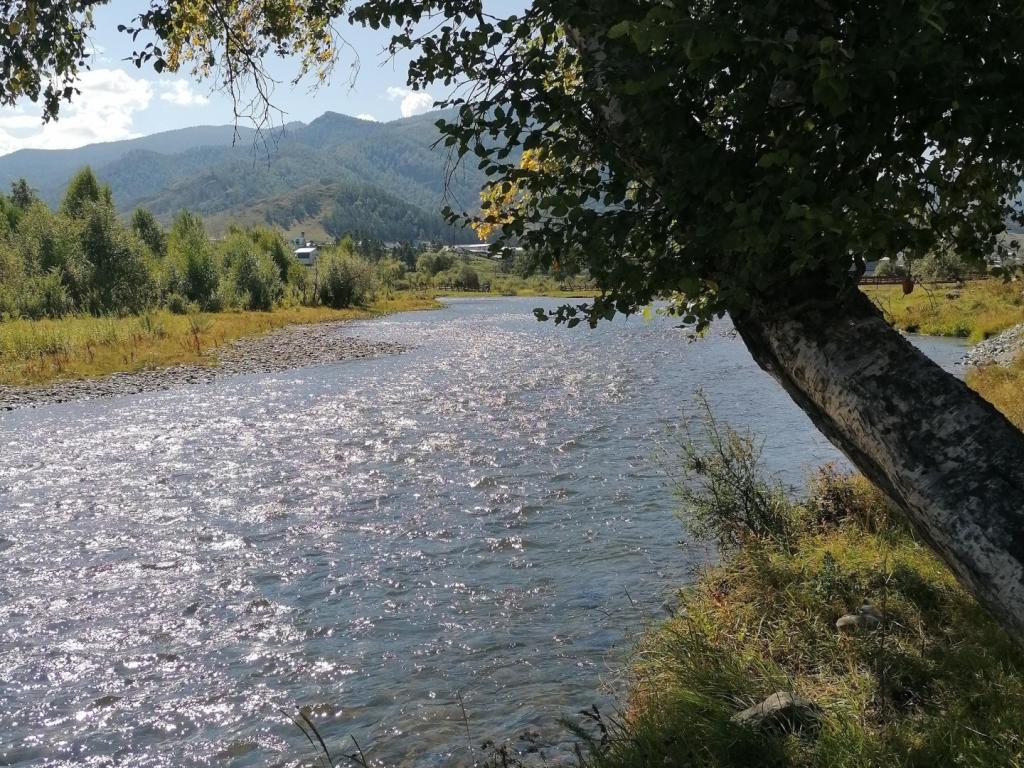 База отдыха Тодош - фото 3