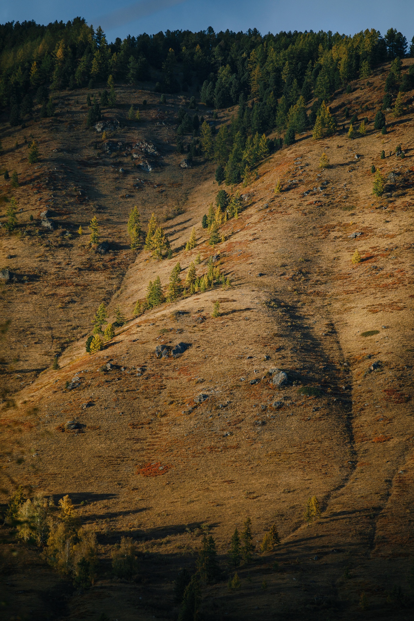 Белая гора - фото 11