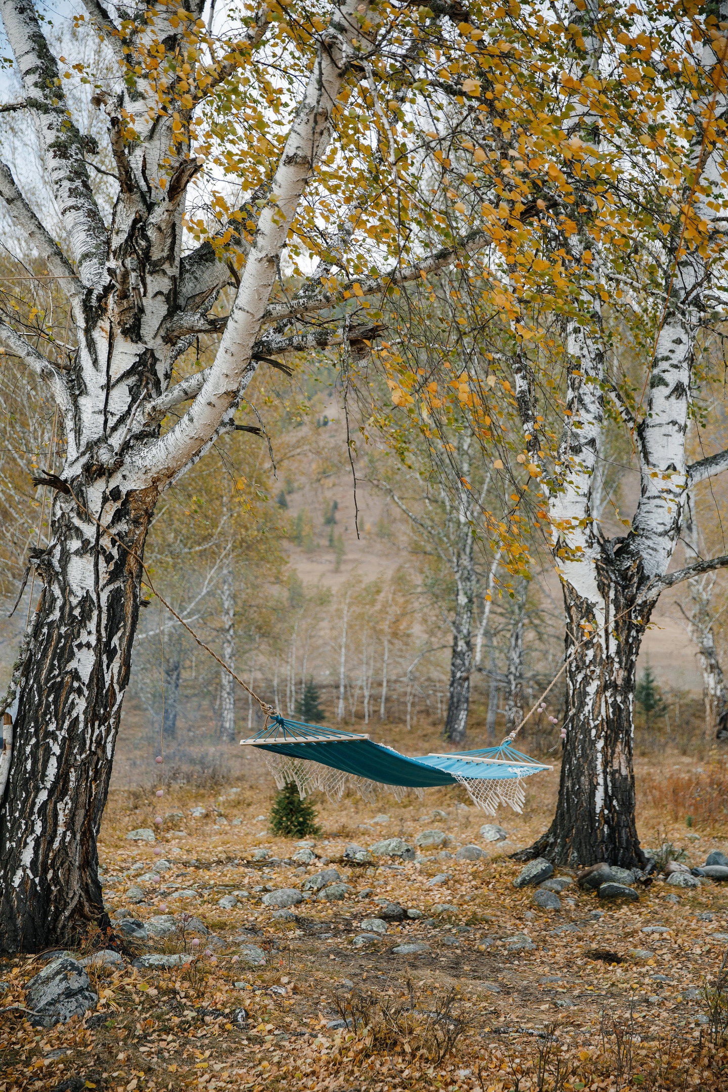 Белая гора - фото 14