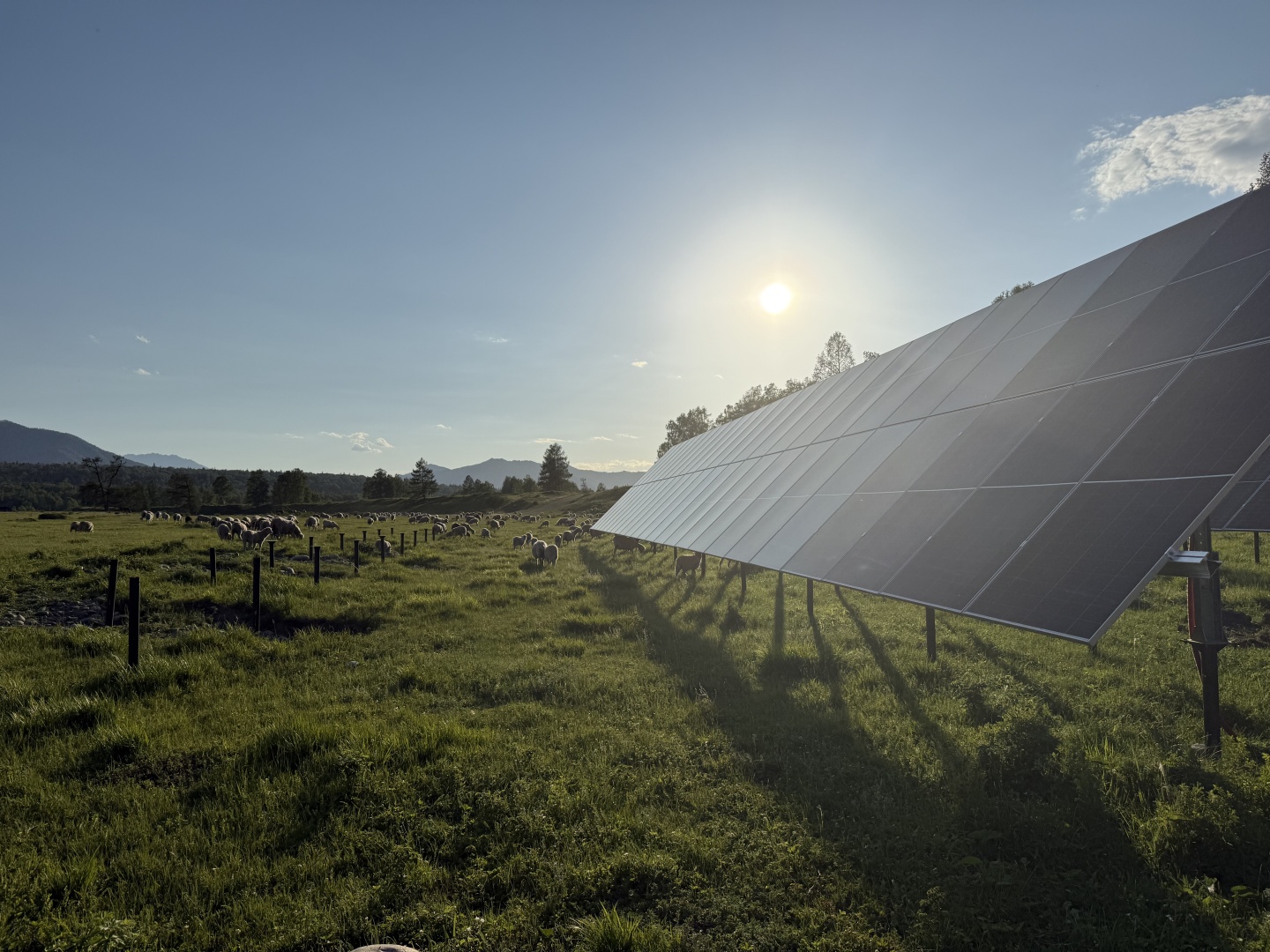 Белая гора - фото 37