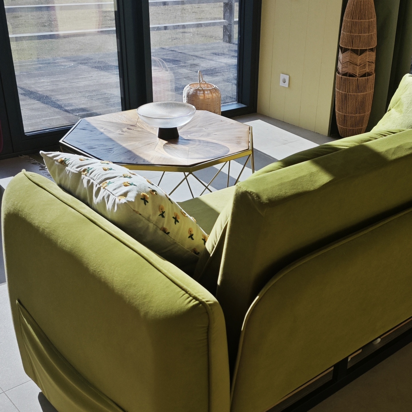 Жёлтая трясогузка - фото 3