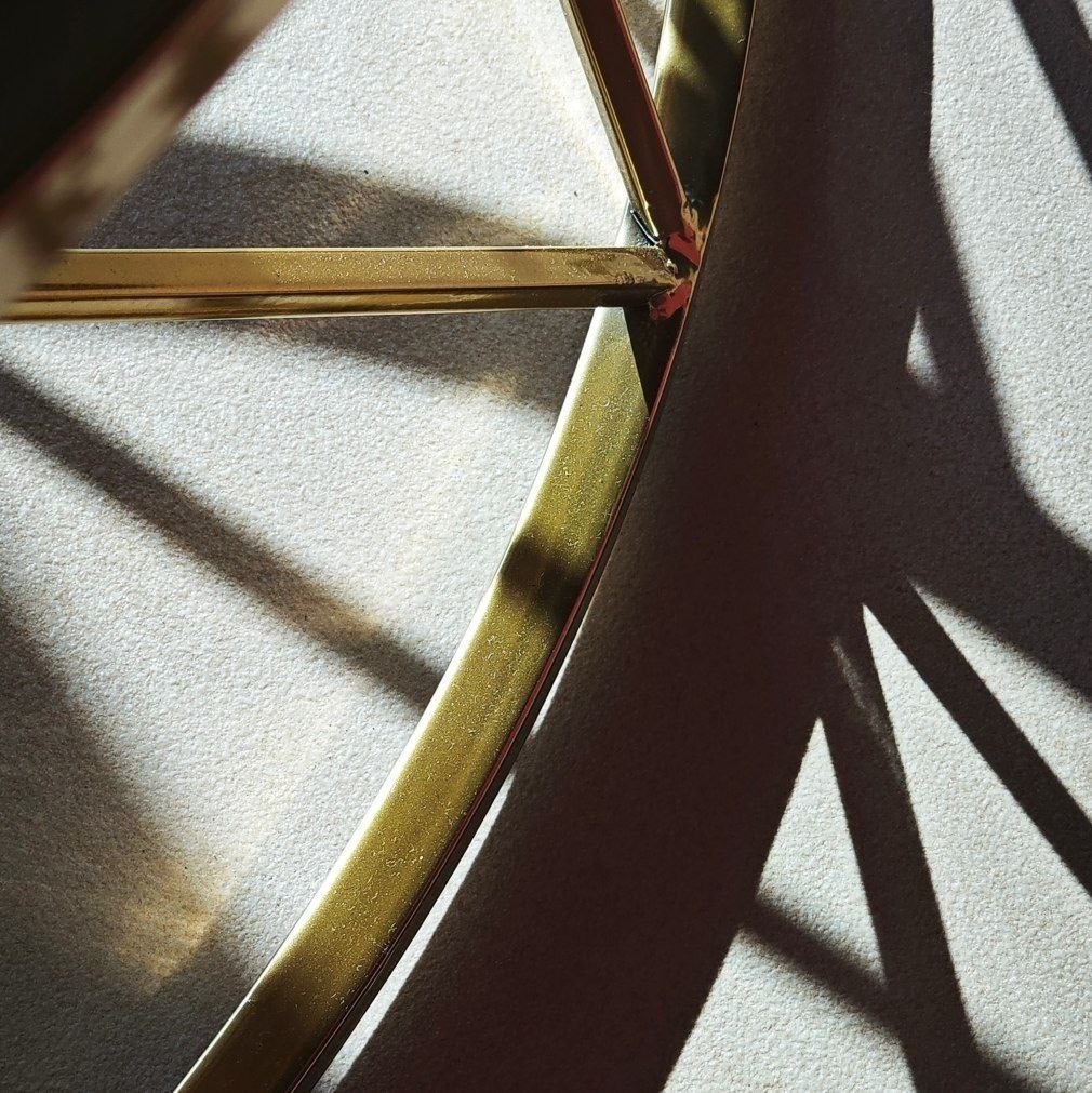 Жёлтая трясогузка - фото 4