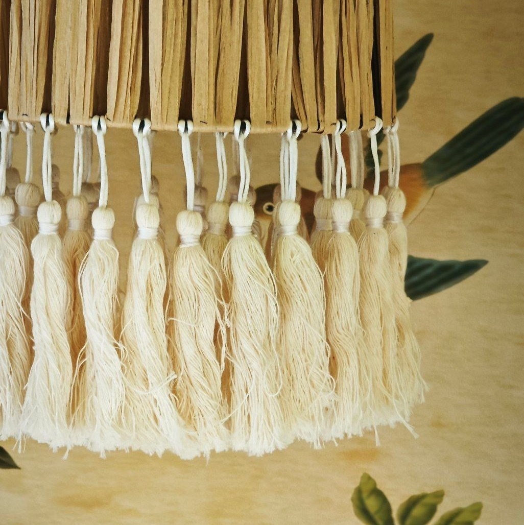 Жёлтая трясогузка - фото 10